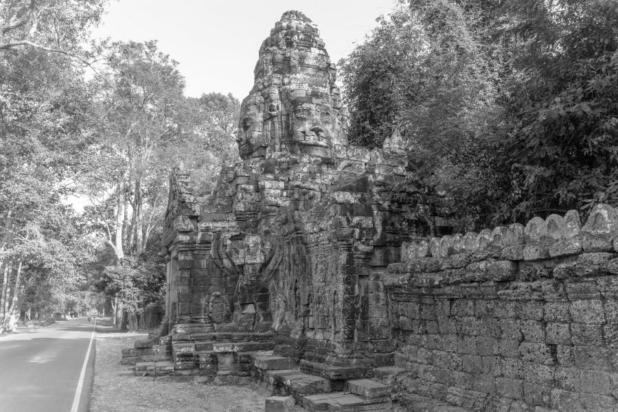 ta prohm-7.jpg